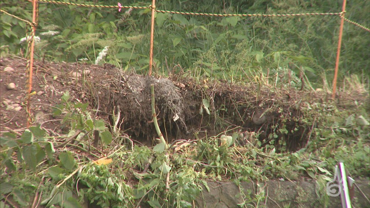 青森岩手秋田】東北携帯スレ 41【宮城山形福島】