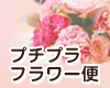 ph_osusume.jpg