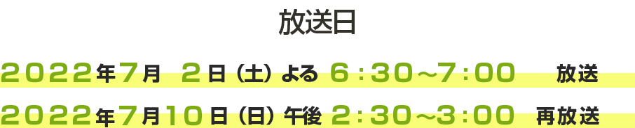 timeday_2022_summer.png