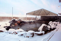 入浴回数券1２枚つづりと<br>ほぐし処「湯縁」利用割引券２枚のセット