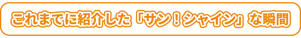 これまでに紹介した「サン！シャイン」な瞬間